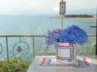 ναυτική άγκυρα σε φόντο σιέλ,μπλε και κόκκινο στο σουπλά κσι στο βάζο με τα λουλούδια