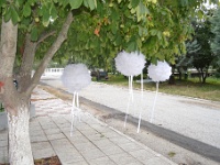 λευκές μπάλες από δαντέλα κρεμασμένες στα δέντρα