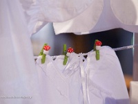 μανταλάκια με μανιτάρια για το κρέμασμα των ρούχων  Alexandros Parotidis Photography