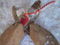 μπισκότο σε σχήμα χριστουγεννιάτικης μπότας
