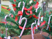 candy canes για τα παιδιά