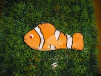 μπισκότο Nemo